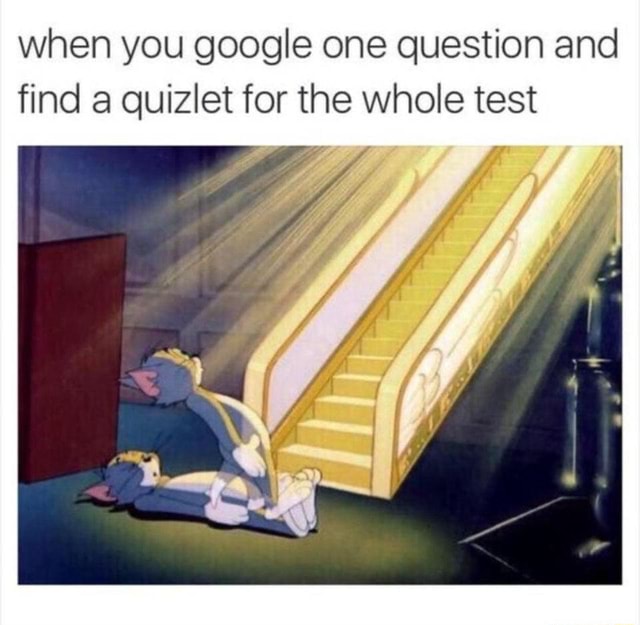 Meme dumping 4 when you google one question and find quizlet for the
