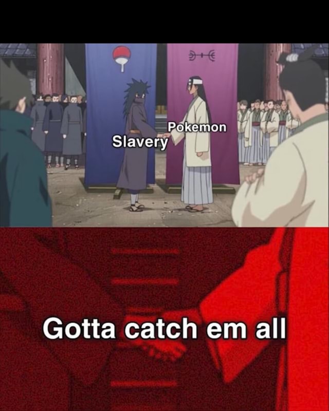 Pokemon Slavery Gotta catch em all - iFunny