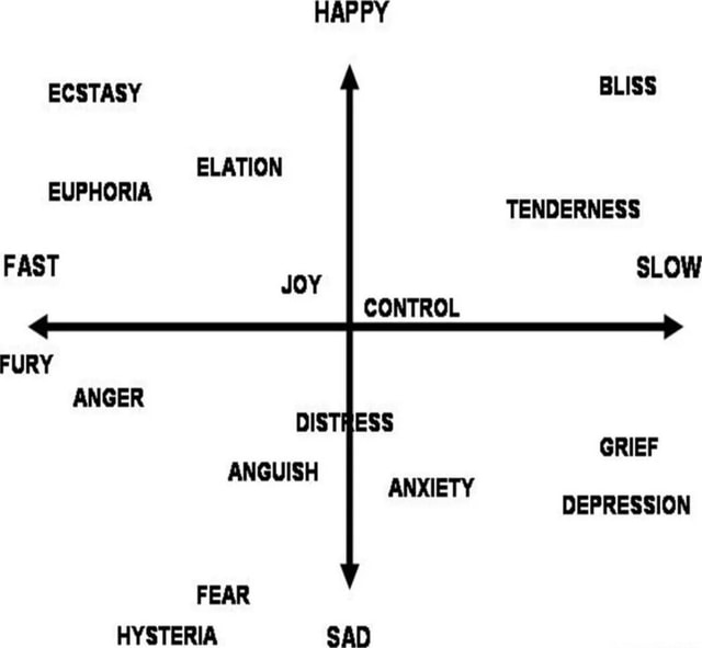 HAPPY ECSTASY ELATION EUPHORIA TENDERNESS FAST JoY OW CONTROL DIST ...