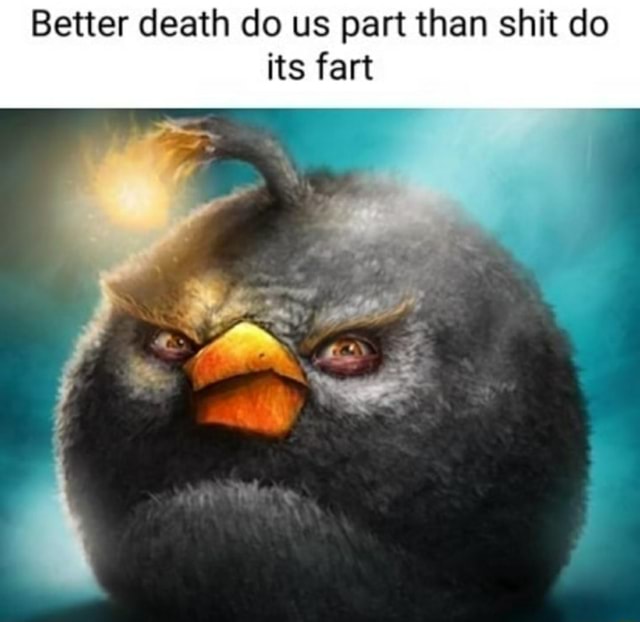 Better death do us part than shit do its fart - iFunny