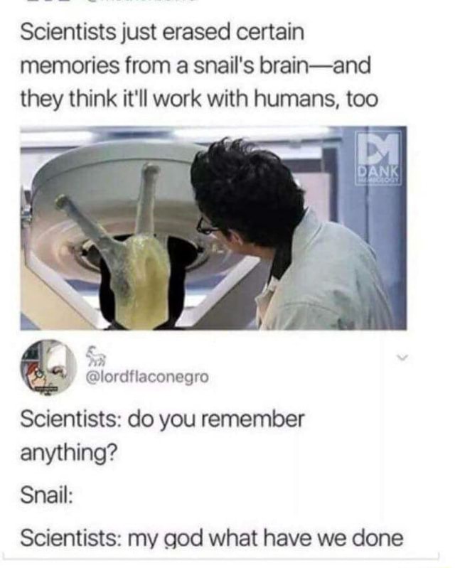 Scientists just erased certain memories from a snail's brainand they