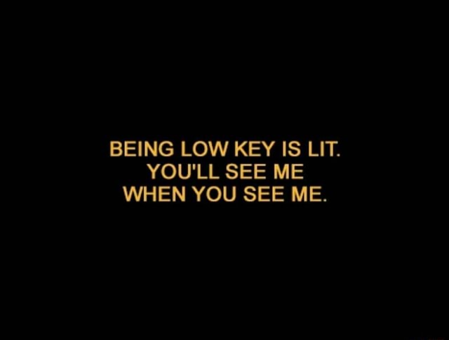 Being Low Key Is Lit You Ll See Me When You See Me