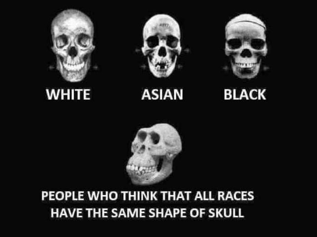 White Asian Black People Who Think That All Races Have The Same Shape Of Skull America S Best Pics And Videos