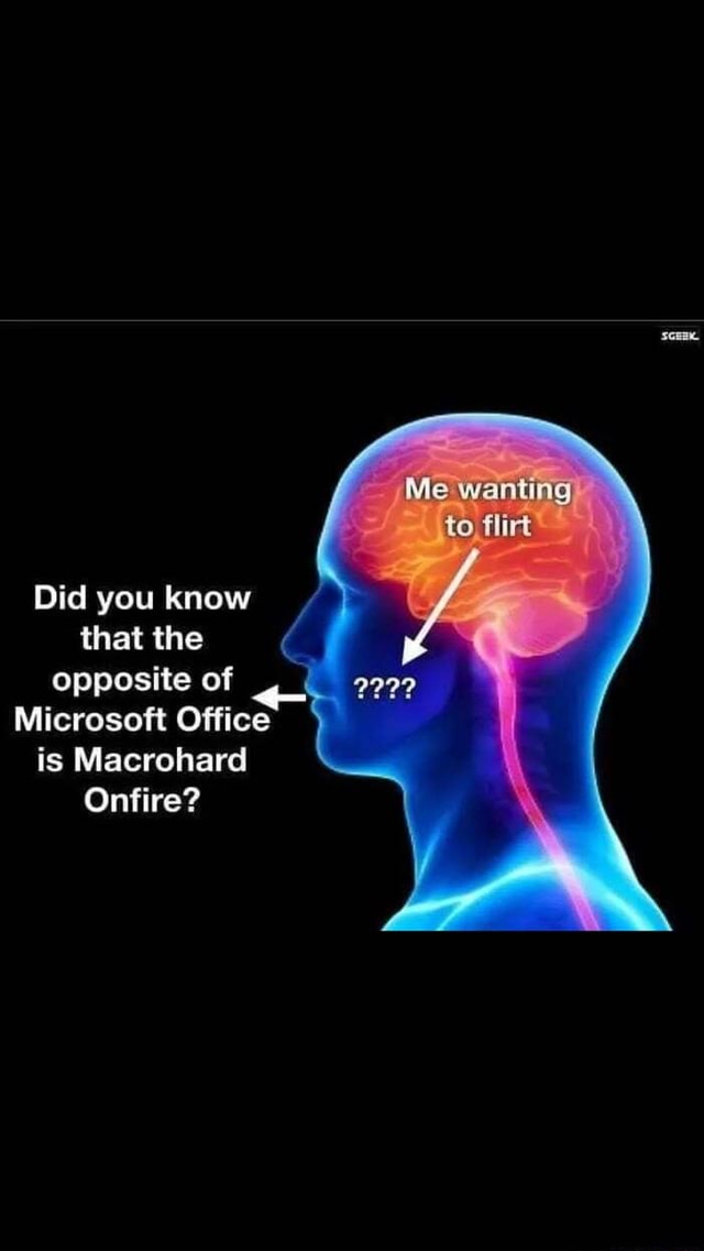 did-you-know-that-the-opposite-of-microsoft-office-is-macrohard-onfire