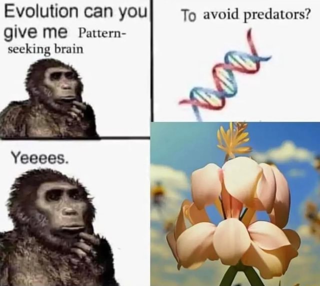 evolution-can-you-to-avoid-predators-give-me-pattern-i-seeking-brain