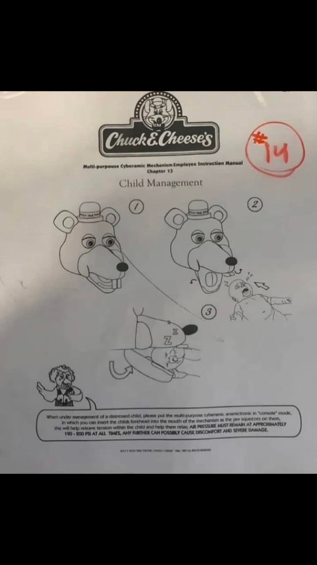 Mutti-purpeuse Cyberamic Mechanism imployes Instruction Manual Chapter ...