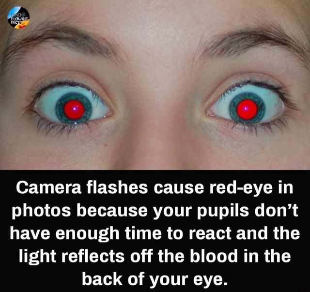 Camera flashes cause redeye in photos because your pupils don't have enough time to react and