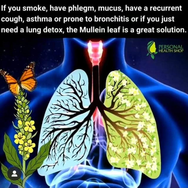 If you smoke, have phlegm, mucus, have a recurrent cough, asthma or