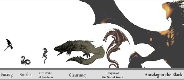 Fire Drake of Gondolin Glaurung Smaug Scatha GAG Dragon of the War of Wrath  Ancalagon the Black Size of the Dragons of Middle Earth. - iFunny