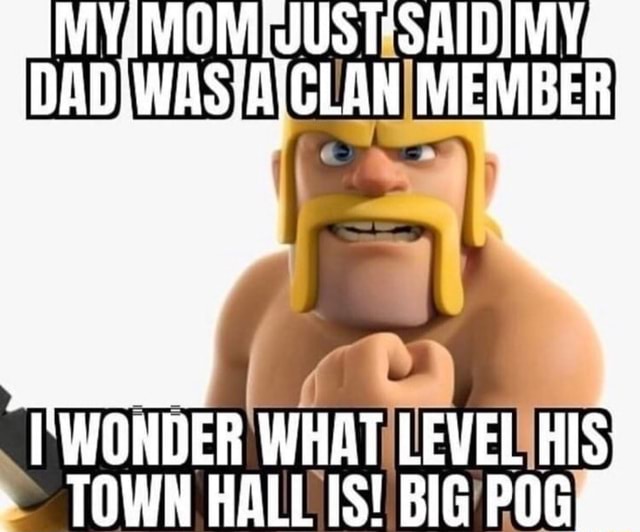 my-wasia-wonder-what-level-his-level-town-hall-is-big-pog-ifunny