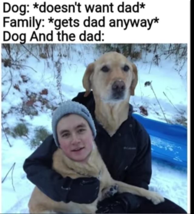 Dog: *doesn't want dad* Family: *gets dad anyway* Do And _the dad ...