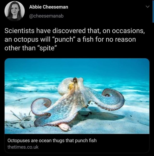 Abbie Cheeseman cheesemanab Scientists have discovered that, on