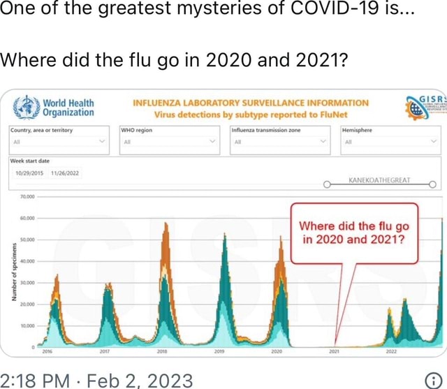 One of the greatest mysteries of COVID19 Is... Where did the flu go in