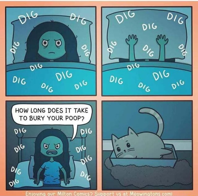 HOW LONG DOES IT TAKE TO BURY YOUR POOP? DIG oe DIG iFunny