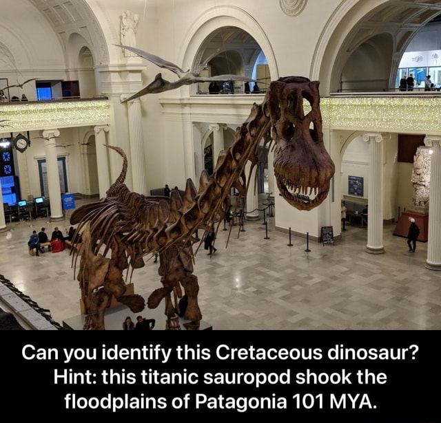 Can you identify this Cretaceous dinosaur? Hint: this titanic sauropod ...