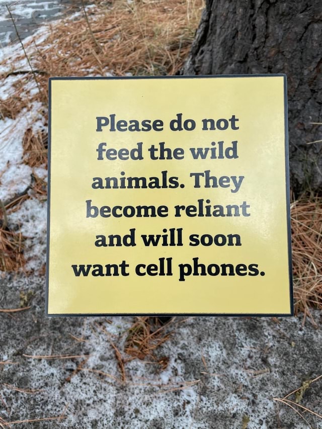 Please do not feed the wild animals. They reliant and will soon