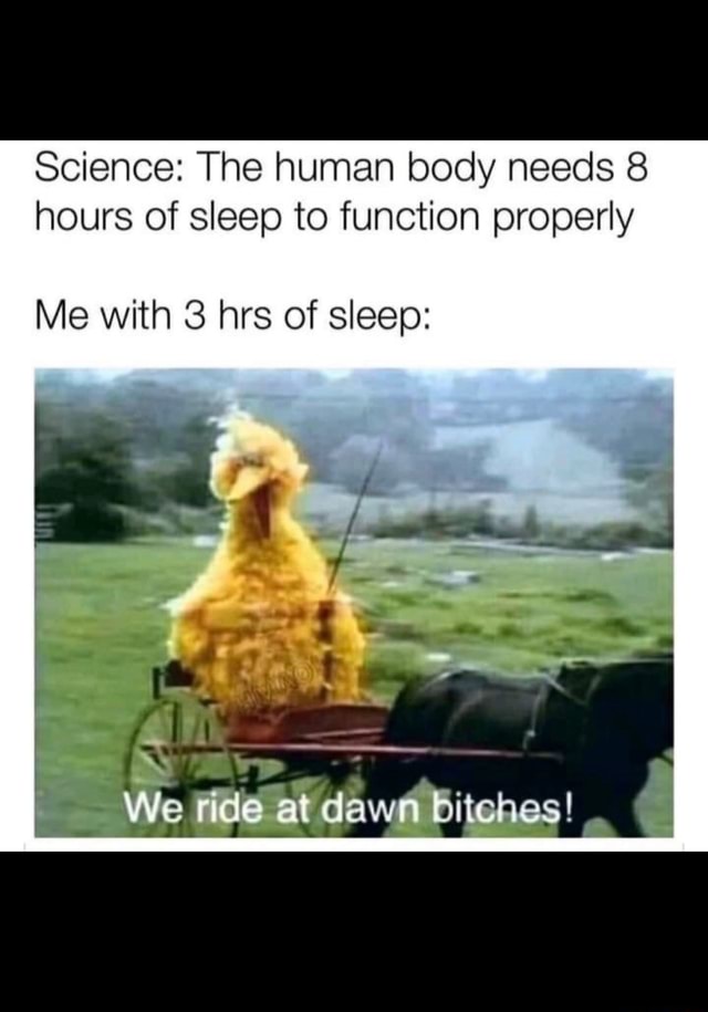Science: The human body needs 8 hours of sleep to function properly Me ...