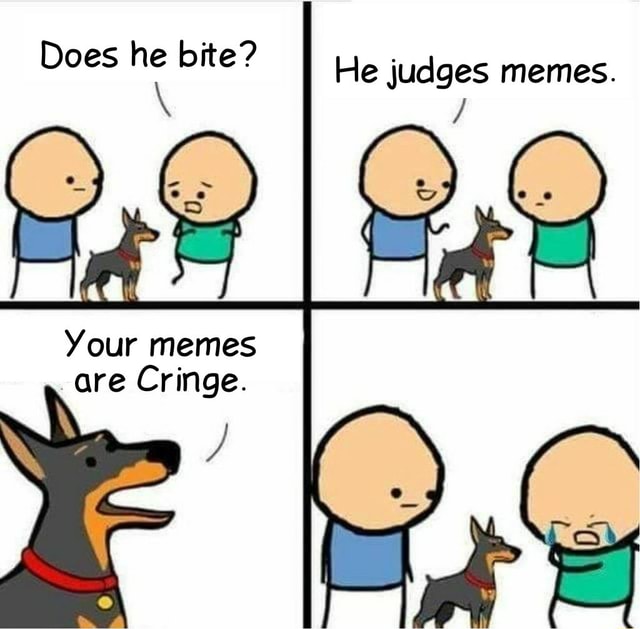 Does He Bite Ii He Judges Memes Your Memes Are Cringe Ifunny