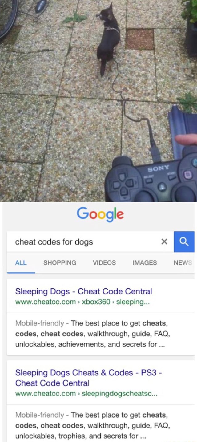 sleeping dogs cheats