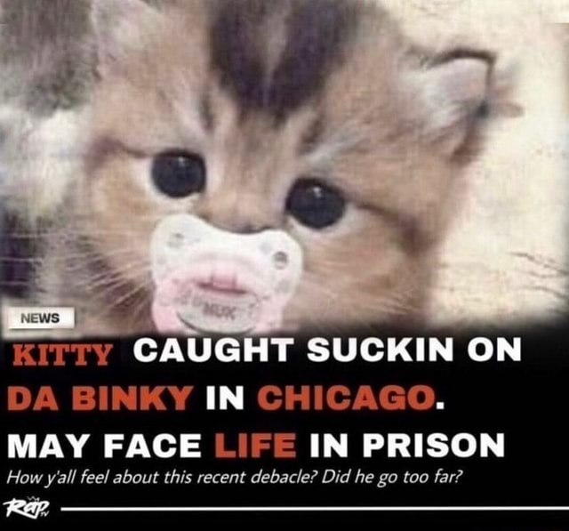 KITTY CAUGHT SUCKIN ON DA BINKY IN CHICAGO. MAY FACE LIFE IN PRISON How ...