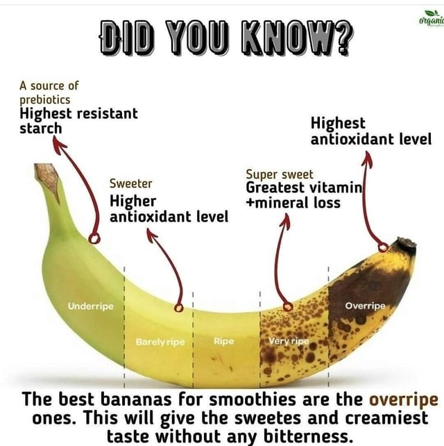 DD YOU KNOW? source of prebiotics Highest resistant starch Highest ...