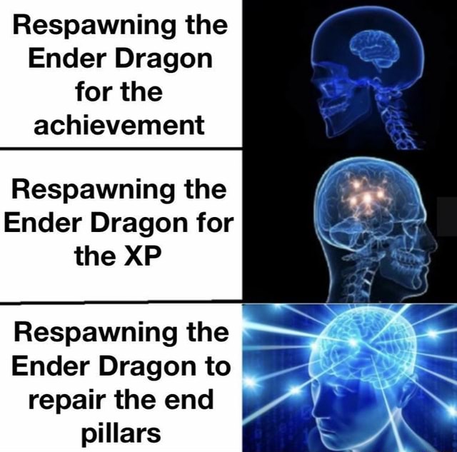 Respawning the Ender Dragon for the achievement Respawning the Ender