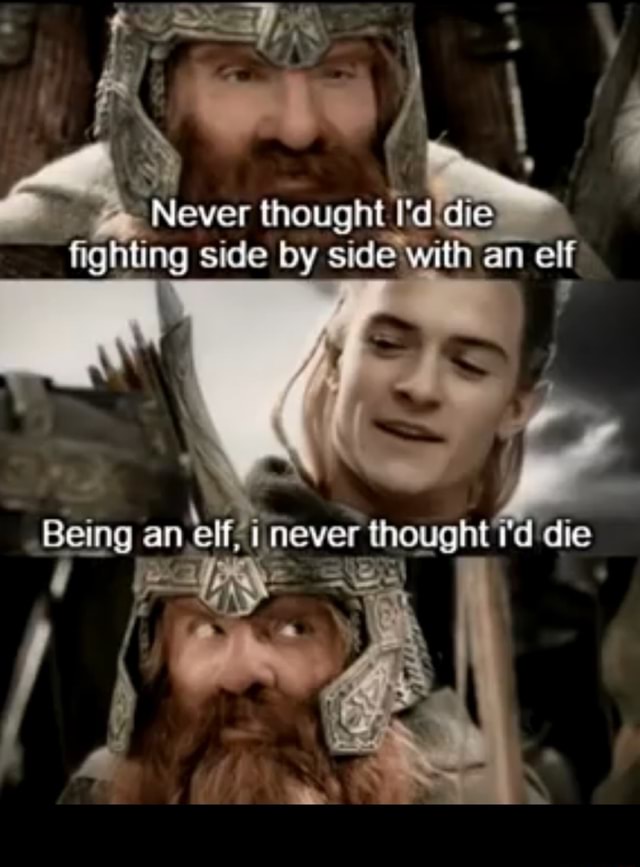 Thought ie fighting side by side with an elf Being an elf, never ...