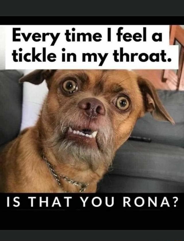 every-time-feel-a-tickle-in-my-throat-is-that-you-rona-ifunny-brazil