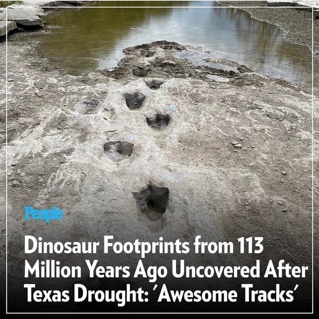 Ok Dinosaur Footprints from 113 Million Years Ago Uncovered After Texas