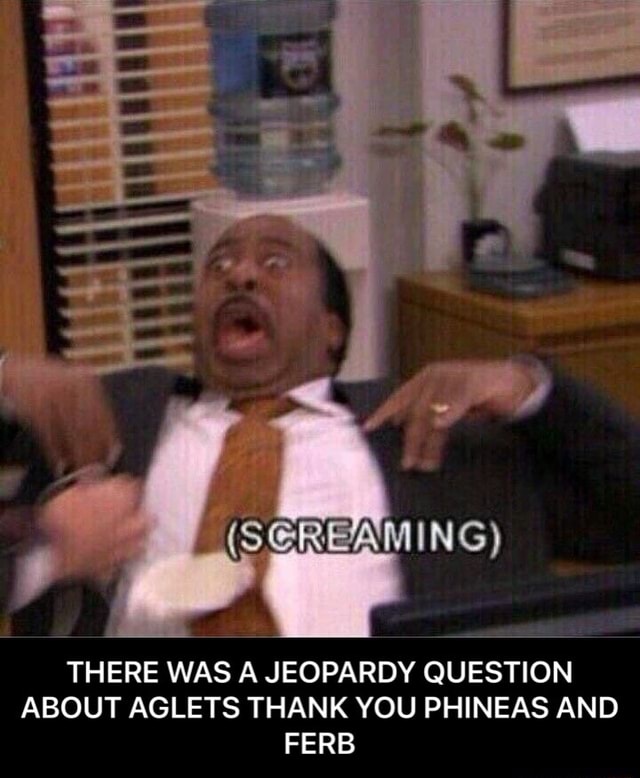 The Question Aglets THERE WAS A JEOPARDY QUESTION ABOUT AGLETS THANK YOU PHINEAS AND FERB ...