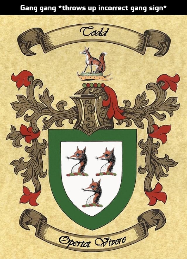 Gang gang *throws up incorrect gang sign* iFunny