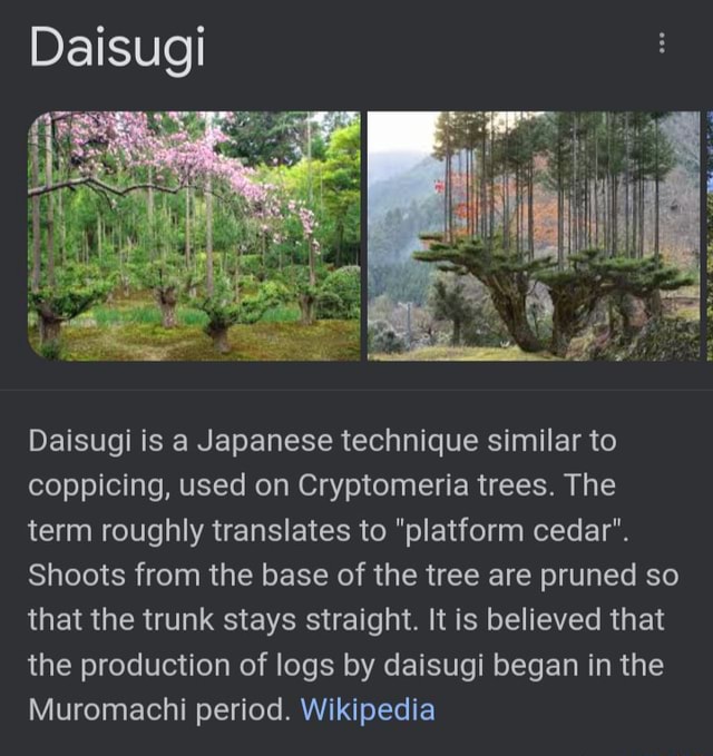 Daisugi Daisugi Daisugi is a Japanese technique similar to coppicing