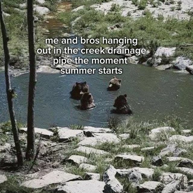 Me and bros hanging out in the creek drainage pipe the moment summer ...