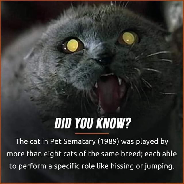 DID YOU KNOW? The cat in Pet Sematary (1989) was played by more than