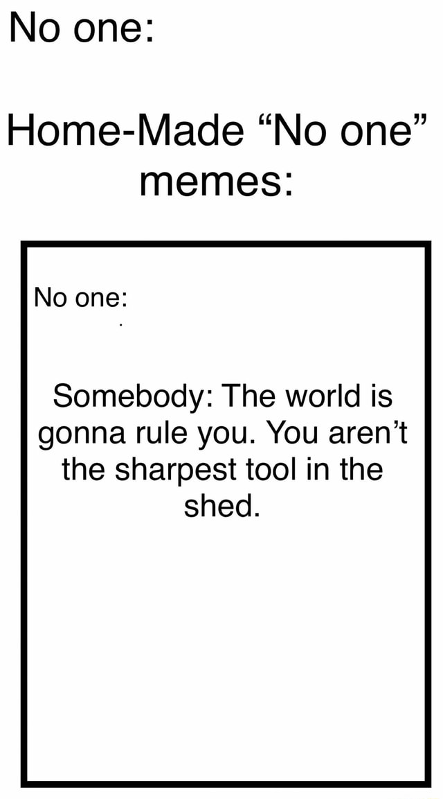 No one: Home-Made “No one” memes: No one: Somebody: The world is gonna ...