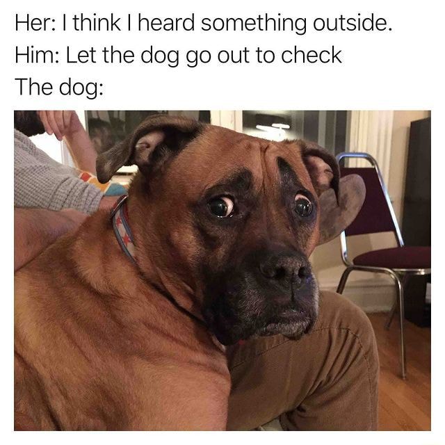 Her I think I heard something outside. Him Let the dog go out to