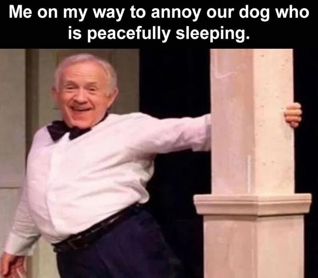 Me On My Way To Annoy Our Dog Who Is Peacefully Sleeping