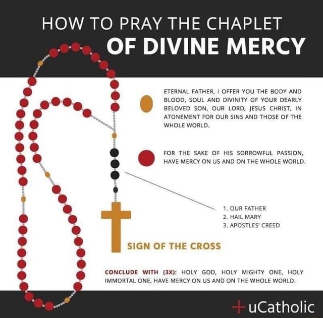 HOW TO PRAY THE CHAPLET OF DIVINE MERCY BLOOD, SOUL AND DIVINITY OF YOUR DEARLY BELOVED SON, OUR