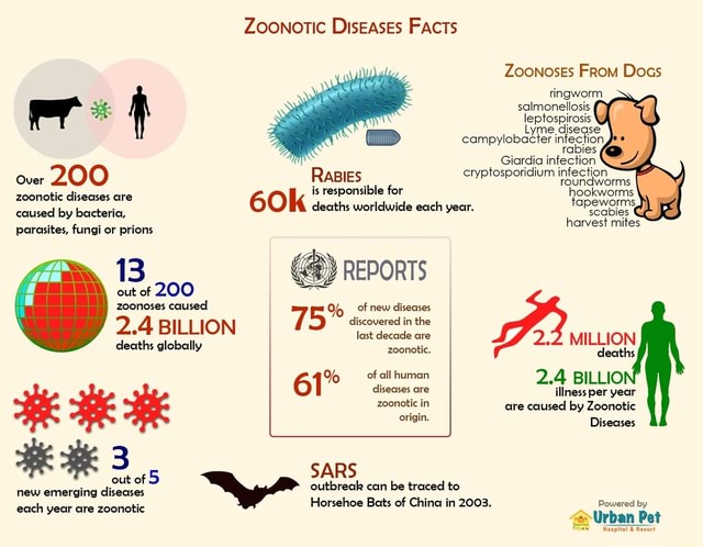 Over 200 Zoonotic diseases are caused by bacteria, parasites, fungi or ...