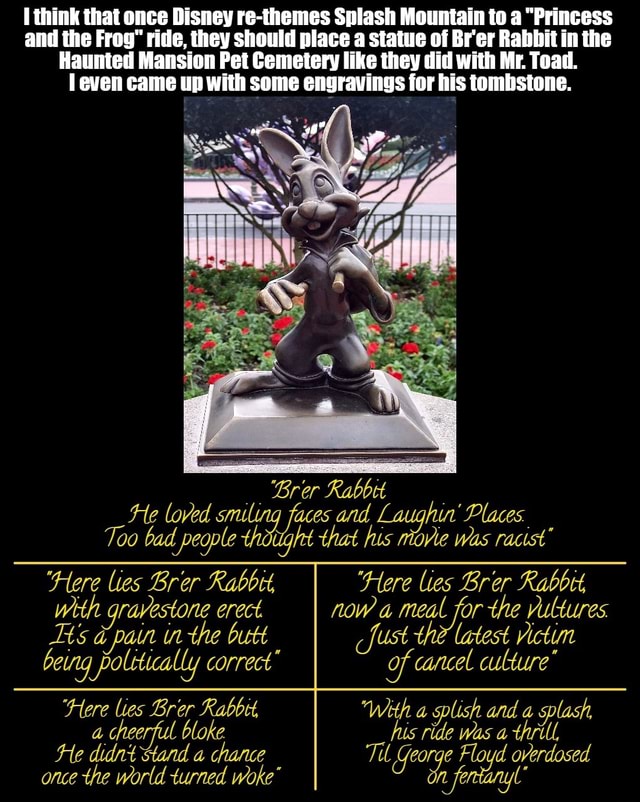 I think that once Disney rethemes Splash Mountain to a "Princess and