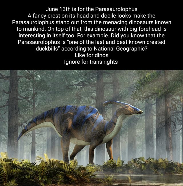 June 13th is for the Parasaurolophus A fancy crest on its head and ...