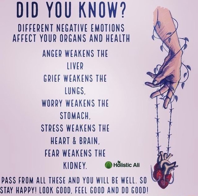 DID YOU KNOW? DIFFERENT NEGATIVE EMOTIONS AFFECT YOUR ORGANS AND HEALTH