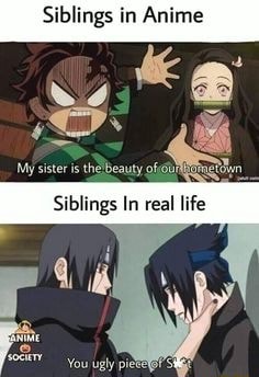 Siblings in Anime My sister is the Beauty of You - iFunny