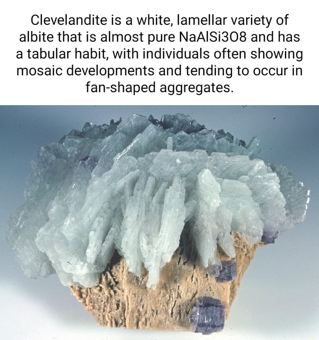 Clevelandite is a white, lamellar variety of albite that is almost pure ...