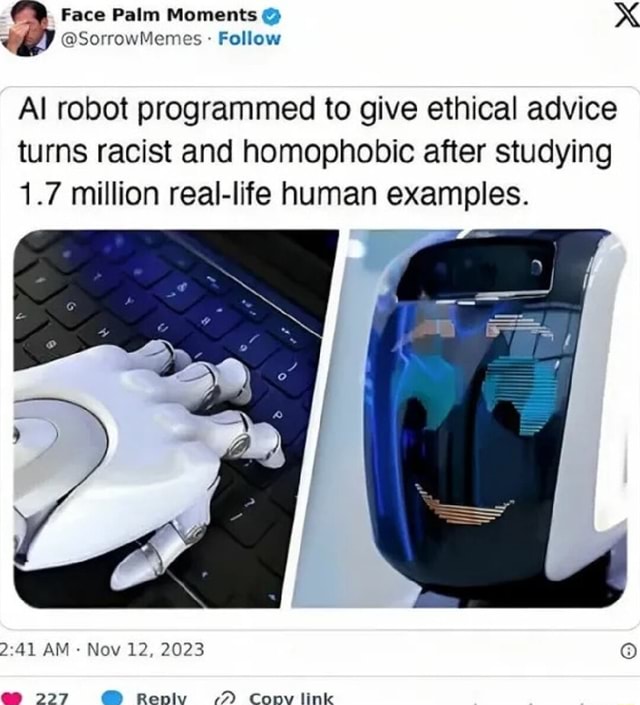 Programmed Human Meme Face Palm Moments XX @SorrowMemes Follow Al robot programmed to give ...