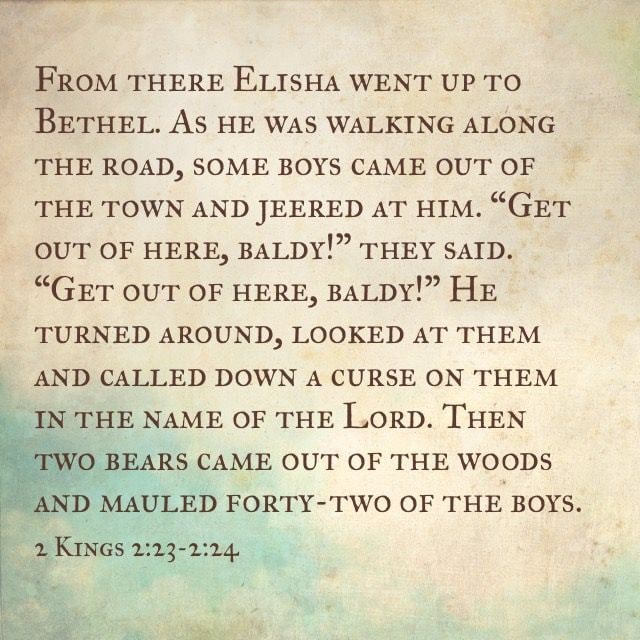 Yes, This Is A Real Bible Verse. - From There Elisha Went Up To Bethel 