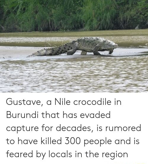 Gustave the man-eating crocodile has brought you a France: SPAS-12 anda Monte  Carlo SS KARL annn - iFunny Brazil