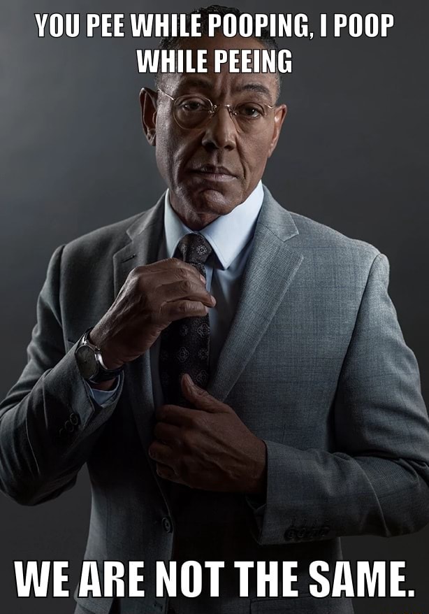 YOU PEE WHILE POOPING, I POOP WHILE PEEING WE ARE NOT THE SAME. iFunny