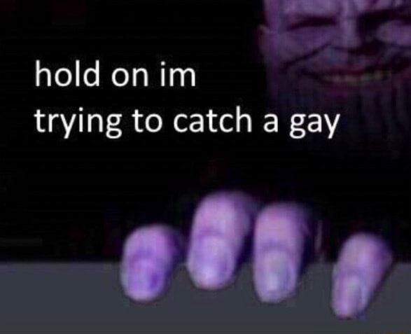 discord caught a gay meme