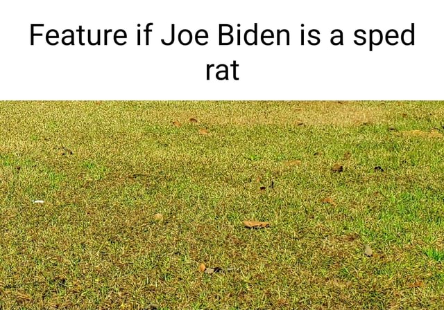 Feature if Joe Biden is a sped rat - iFunny